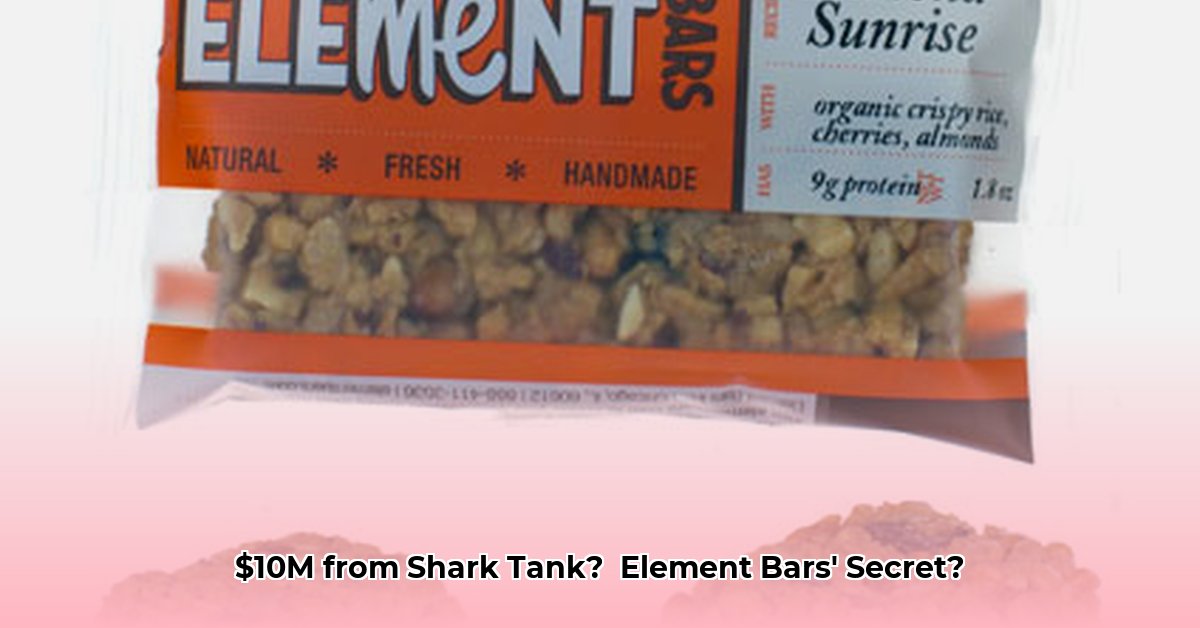 element-bars-net-worth